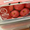 京鲜生 山东栖霞红富士苹果精品12粒 单果190g-240g  水果礼盒 实拍图