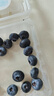 怡颗莓Driscoll's当季新鲜云南蓝莓14mm+ 2盒装 约125g/盒 京东超市水果 实拍图