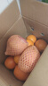 集年鲜赣南脐橙手剥甜橙子新鲜现摘生鲜水果整箱节日送礼 含箱5斤净重4.5斤铂金果 单果150-300g 实拍图
