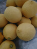 京鲜生 安岳黄柠檬16粒 单果95g-120g 生鲜水果 实拍图