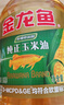 金龙鱼 食用油 非转基因 压榨 一级 纯正玉米油4L（新老包装随机发货） 实拍图