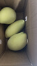 【26年爆款】海南小台芒纯甜芒果源头直发 带箱两斤70g 实拍图