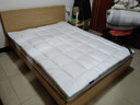 安睡宝（SOMERELLE）床垫杜邦特氟龙三防抗菌垫子褥子学生宿舍榻榻米床铺睡垫姨妈垫 150*200cm灰边【双人款】 实拍图