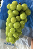 京鲜生 阳光玫瑰葡萄 青提6斤礼盒装 单果约10g 生鲜水果 新鲜水果 实拍图