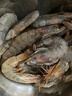 东上御品虾 青岛大虾基围虾鲜活青虾白虾海虾对虾冰虾冻虾生鲜 虾类 海鲜 3.3斤(净重)  盐冻大虾【单只冻】 17-21cm【特大虾皇】 实拍图
