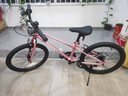 途锐达超轻儿童自行车6-8-12岁女孩男孩脚踏车小孩学生单车20寸蜂鸟粉 实拍图