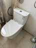 九牧（JOMOO）11173-2-1/31KD-3大力神家用马桶虹吸抗菌节水洁具305坑距 实拍图