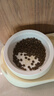 华元宠具（hoopet）猫碗陶瓷双碗粮自动饮水碗猫咪食盆宠物饭盆狗狗碗猫喝水喂食用品 实拍图