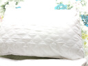 洁丽雅（Grace）纤维枕 星级酒店枕头枕芯 46*72cm 一对装（2只装） 实拍图
