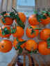 京鲜生【公益好物】川爷爷的爱媛38号果冻橙 净重4.5-5斤 单果120g＋ 实拍图