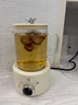 乐炖 养生壶迷你养生杯电炖杯办公室煮茶壶煮茶器小型一人花茶壶烧水壶电煮茶杯加热杯垫炖煮壶一体 0.6L 机械款（玻璃盖） 采购10台以上可联系客服换礼盒装 实拍图