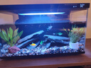 米家小米智能鱼缸 一体整机免装语音遥控半年免换水APP定时喂食水族箱 米家智能鱼缸 实拍图