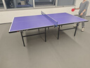 双鱼 乒乓球桌室内家用可折叠乒乓球台（ 京仓速发+网架）耐用JD500 实拍图