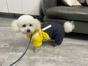 憨憨宠宠物狗狗衣服 狗衣服中小型犬泰迪衣服冬季加绒加厚背带裤猫衣服 黄色背带裤XL号推荐13-16斤宠物 实拍图