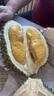 京鲜生马来西亚D197猫山王榴莲冷冻2-2.5斤保3房新鲜水果 实拍图