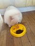HELLOJOY狗狗飞盘玩具可浮水边牧柯基小中大型犬互动耐咬宠物玩具训练巡回 实拍图