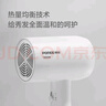 飞科博锐电吹风机家用大功率吹风筒恒温护发小巧便捷三档冷热风电吹风 简白PH1621 实拍图