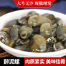 遇上鲜 泥螺即食罐装大黄泥螺生腌醉泥螺海鲜宁波舟山特产无沙200g 实拍图