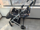 GOKKE婴儿推车双向高景观 可坐可躺轻便折叠简易手推车 幼儿宝宝童车 babycrony金叶108 实拍图