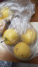樱慕晴【JD地标认证】正宗辽宁鞍山南果梨东北特产南国梨香水梨新鲜水果 【普装特大果黄梨】约20枚 4.5斤 实拍图