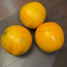 京喜加【25年鲜橙】云南冰糖橙新鲜采摘秋橙当季新鲜水果 带箱1斤55-60mm 实拍图