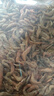 淡水小河虾野生红虾干小草虾补钙好蛋白农家自制干货小虾米 1斤精品红虾干(净重无干燥剂) 严选当月新货-先晒现卖 实拍图