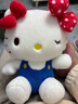 Hello Kitty三丽鸥毛绒玩具布偶玩偶布娃娃抱枕生日圣诞节礼物女 凯蒂猫公仔 实拍图