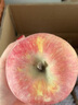 正宗新疆阿克苏冰糖心苹果新鲜水果脆甜礼盒整箱红富士雪山丑苹果 5斤 优质中果（75-80） 实拍图