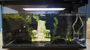 米家（MIJIA）智能生态鱼缸定时喂食智能鱼缸+画法几何增氧泵套装 实拍图