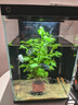 米家智能桌面鱼缸+画法几何仿蕨类沉木造景套餐 实拍图