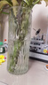 盛世泰堡 花瓶水养玻璃插花瓶水培富贵竹客厅花瓶摆件透明冰纹直筒款1025 实拍图