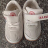泰兰尼斯秋季学步鞋男宝宝鞋子女童婴儿鞋透气软底机能鞋米白24码 实拍图