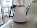 茶吧机烧水壶通用配套小五环不锈钢壶单配茶台茶炉水壶配件饮水机 304不锈钢-双层长嘴白色壶 实拍图