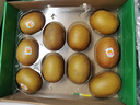 佳沛（zespri）新西兰  阳光金奇异果10粒礼盒巨大果单果约144-175g 水果 猕猴桃 实拍图