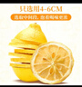 贡苑花草茶 纯柠檬片干500g 大片实惠装无添加糖烘干柠檬干Vc茶 实拍图
