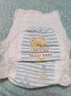 泰迪熊（Teddy Bear）臻薄透气拉拉裤XXXL52片(17公斤以上)超薄干爽婴儿尿不湿成长裤 实拍图