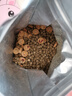 LEGENDSANDY蓝氏狗粮真鲜乳鸽中小型犬泰迪比熊生骨肉冻干鲜肉犬粮4.5kg9斤 实拍图