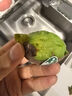 【地标好物】即食周至翠香绿心猕猴桃5-6粒450g 实拍图