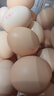 京鲜生可生食标准鲜鸡蛋30枚礼盒装3斤 源头直发 实拍图