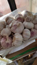 京鲜生河南杞县大蒜带皮新鲜干蒜净重5斤单果4.5-5cm  源头直发 实拍图