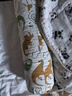 babycare婴儿安抚枕头宝宝多功能抱枕透气枕头6月-6岁-比奇角恐龙39*12cm 实拍图