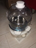 小熊（Bear）煮蛋器 蒸蛋器 自动断电小型不锈钢早餐神器 旋钮定时 双层蒸煮鸡蛋ZDQ-K14E1 实拍图