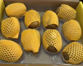 佳沛（zespri）新西兰  阳光金奇异果10粒礼盒巨大果单果约144-175g 水果 猕猴桃 实拍图