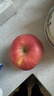 京鲜生 烟台红富士苹果 净重5斤  单果190g起 水果礼盒 实拍图