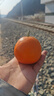 泰汇吃四川爱媛38号果冻橙 新鲜当季水果柑橘桔子时令 带箱 5斤单果131g++商超品质 净4.5 实拍图