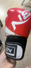 BN FIGHT拳击手套 儿童散打拳套小孩透气拳套散打沙包手套 实拍图