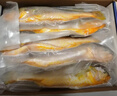 鲜京采 冷冻三去黄花鱼(宁德大黄鱼)1700g (5条装)  礼盒 生鲜海鱼  实拍图