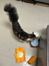 高爷家全价益生菌3.0猫粮 成猫猫粮 高肉含量冻干猫粮 益生菌 1.5kg*6包 实拍图