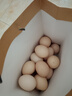 农家散养谷物土鸡蛋50±5克/枚 15枚 实拍图