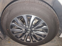 邓禄普（DUNLOP）轮胎/汽车轮胎195/65R15 91H ENASAVE EC300 原厂配套卡罗拉 朗逸 实拍图